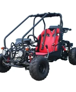 Taotao GK110 Kids Gas Go Kart Dune Buggys