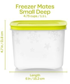 Freezer Storage Plus | Small Deeps - Image 6